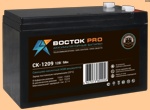 Аккумуляторная батарея к ибп (АКБ) CK-1209 (1234) ВОСТОК - фото
